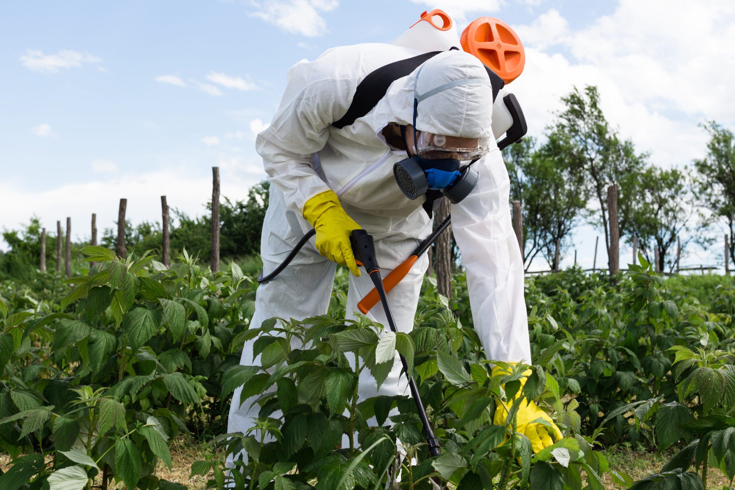 case study of pesticide use