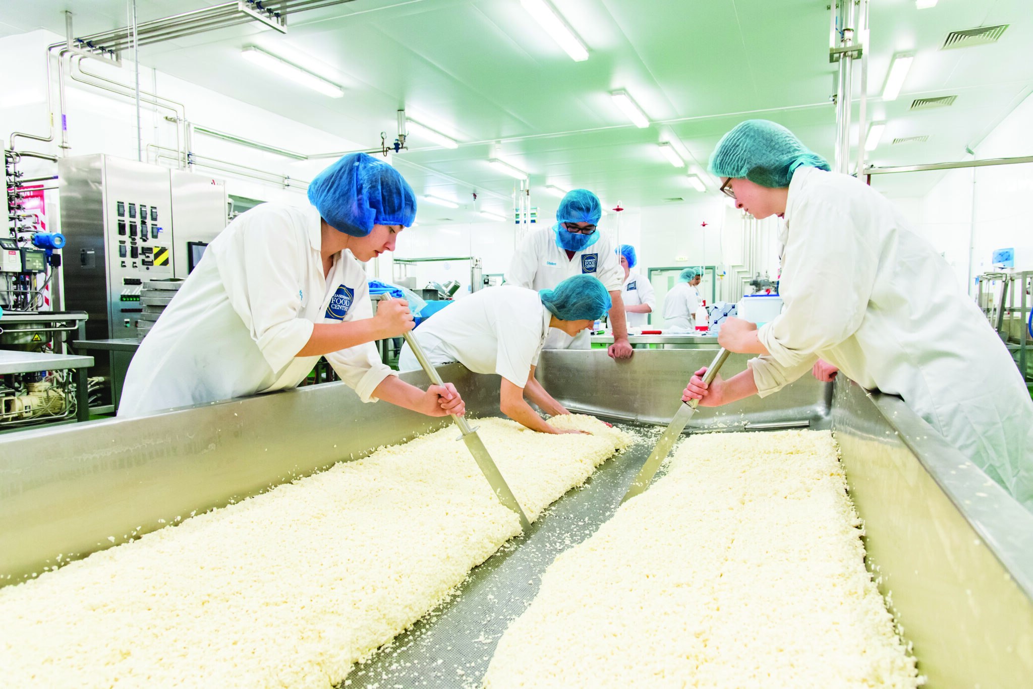 cheese-manufacturing-reaseheath-business-hub